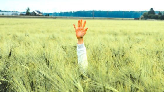 Hand showing five fingers in a field