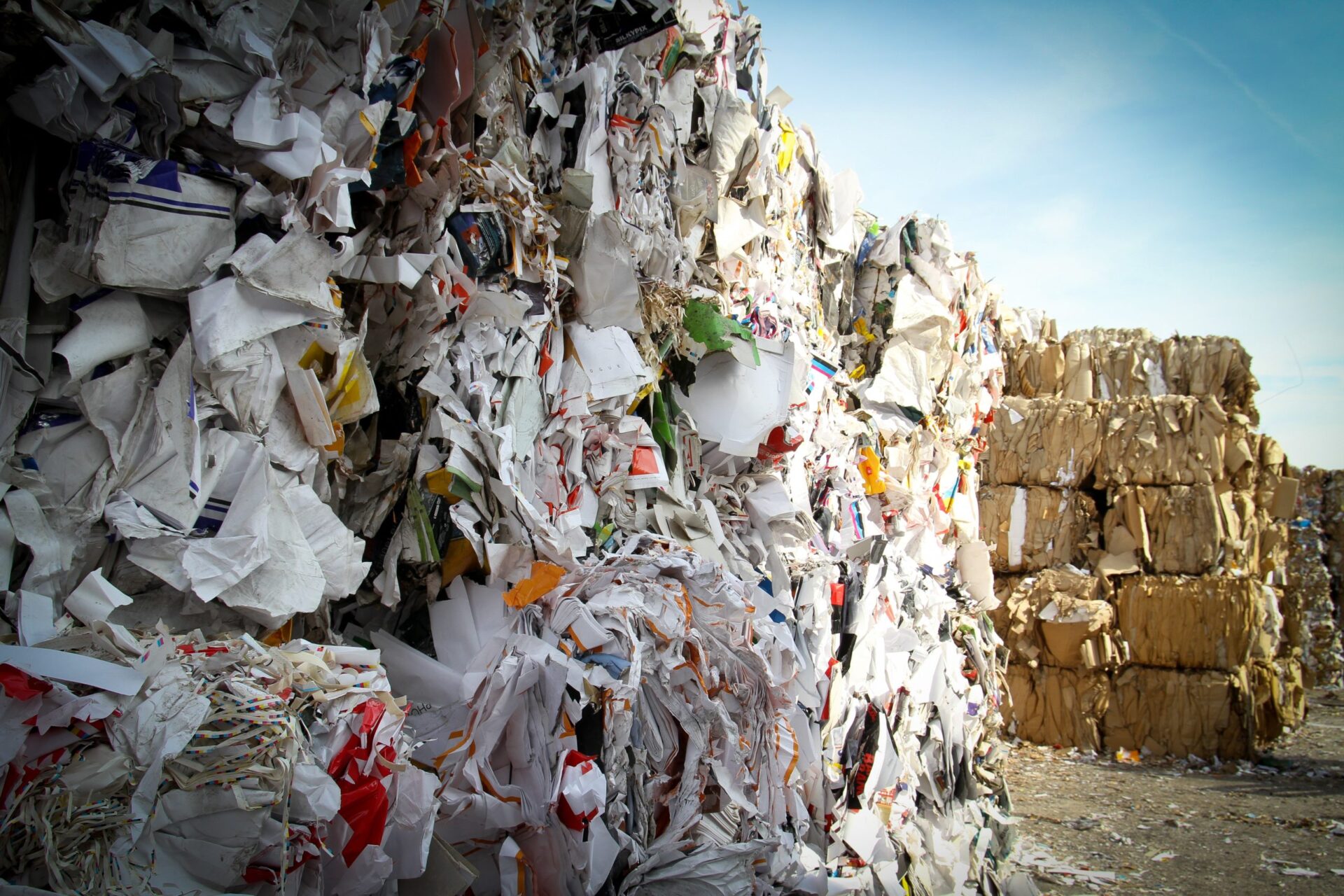 site containing paper waste